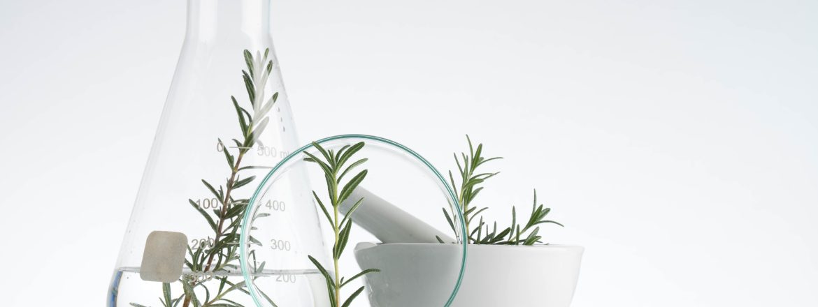 Razvoj kozmetičnih izdelkov: Od ideje do končnega izdelka