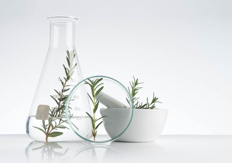 Razvoj kozmetičnih izdelkov: Od ideje do končnega izdelka